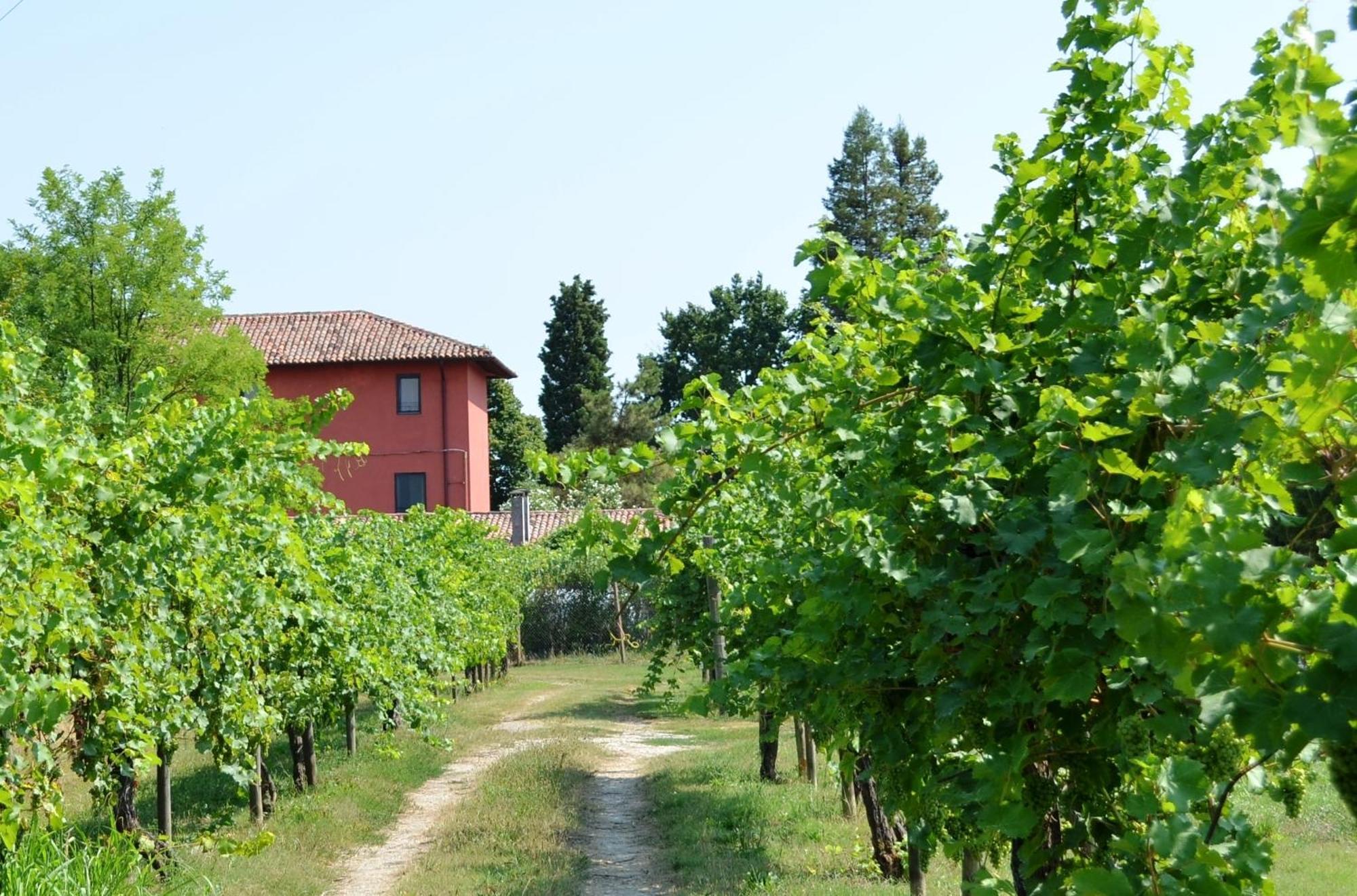 Agriturismo Isola Augusta 帕拉佐罗德罗斯泰尔 外观 照片